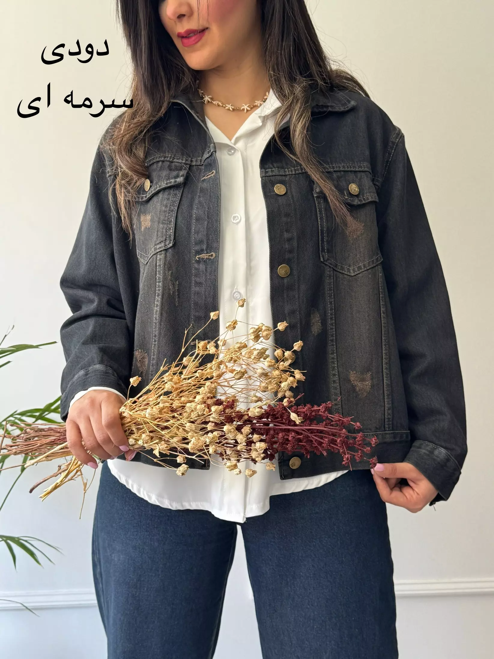 کت جین پرستو